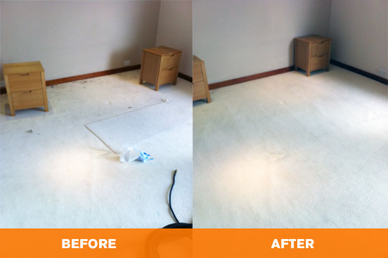 carpet cleaning services cleanercleaner