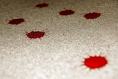 carpet blood stains cleaning