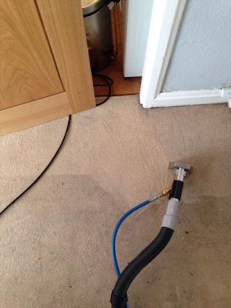 carpet cleaning service