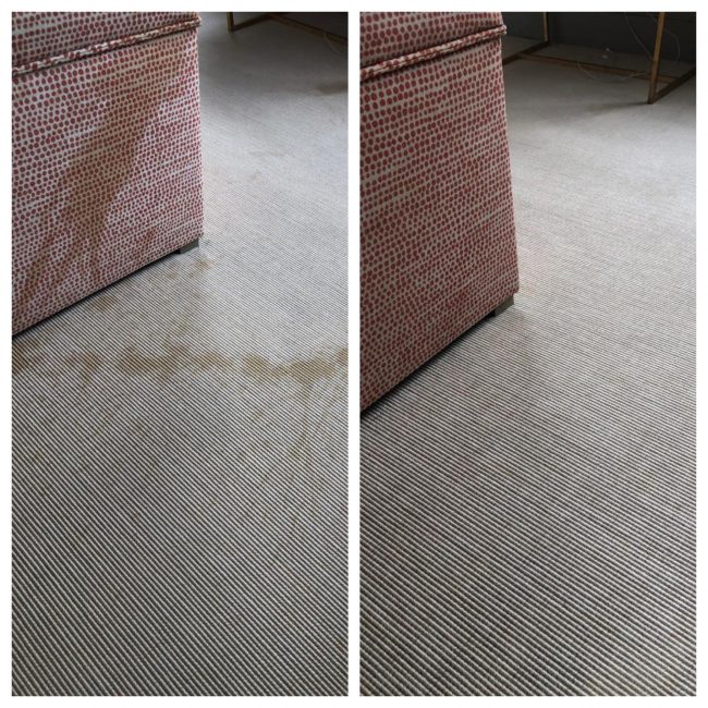 sofa stain removal