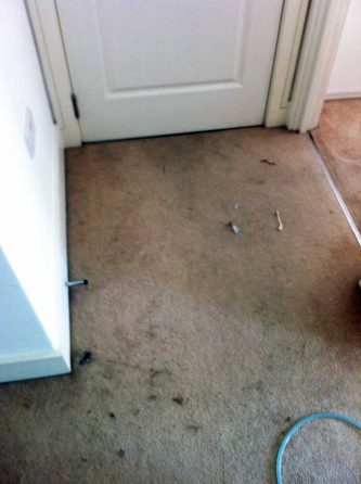 dirty carpets