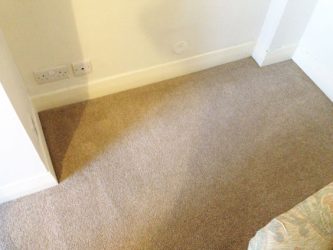 home-carpet-cleaning-company