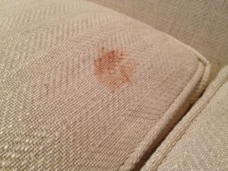 upholstery chocolate stain removal