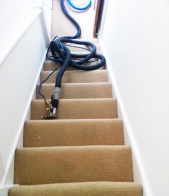 move out steam carpet cleaning