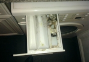 washing machine tray dirty
