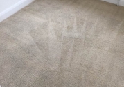 carpet-clean-4