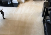 cleaner-carpet
