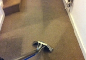 carpet steam cleaning