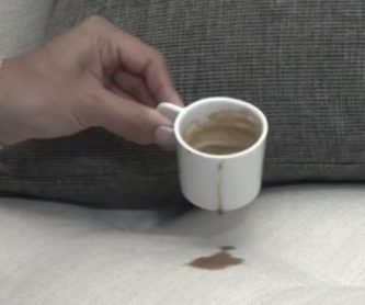upholstery coffee stains