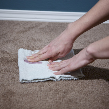 vinegar eco carpet cleaning
