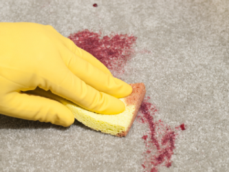 carpet stain removal Twickenham